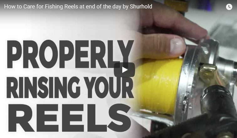 caring for fishing reels Marine & Tackle Reel Care Kit How to Clean Fishing Reels,