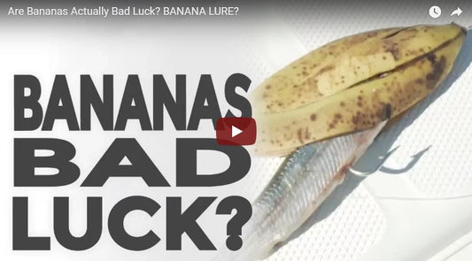 Link to Article: Are Bananas Bad Luck?