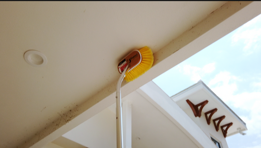 Got Cobwebs? Shurhold Can Help With That!