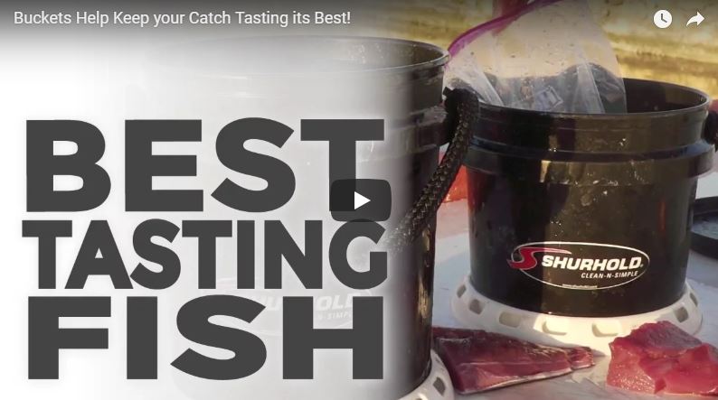 Link to Article: Best Tasting Fish